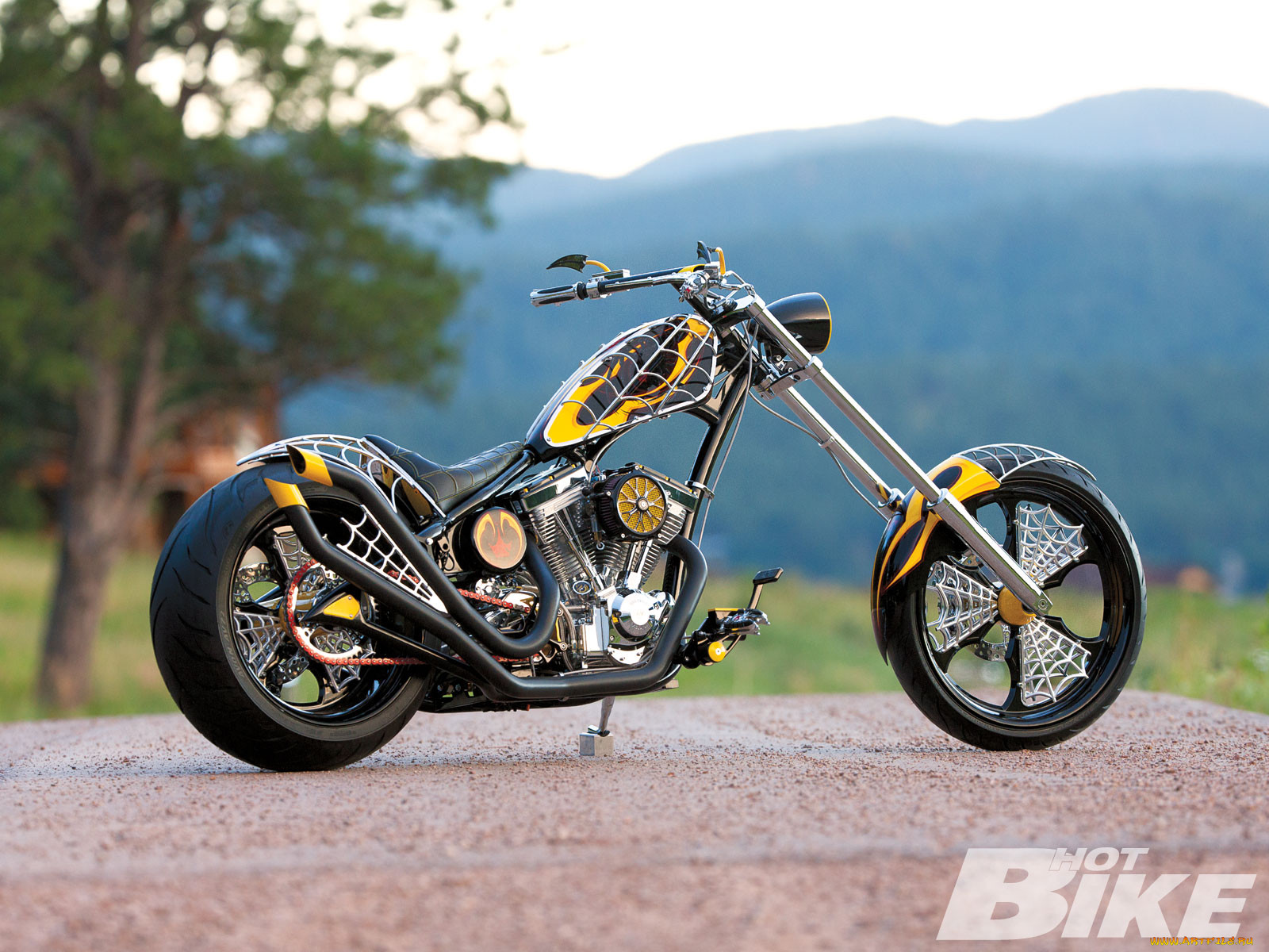 2010, paul, jr, designs, anti, venom, , customs